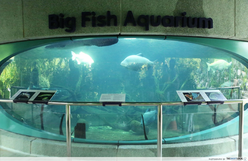 Gardens By The Bay - Big Fish Aquarium