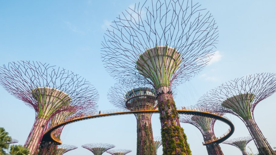 Gardens By The Bay - Supertree Grove