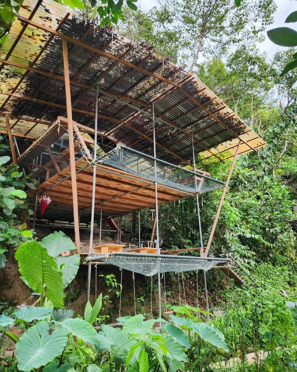 Rainforest Tree House 3 storeys