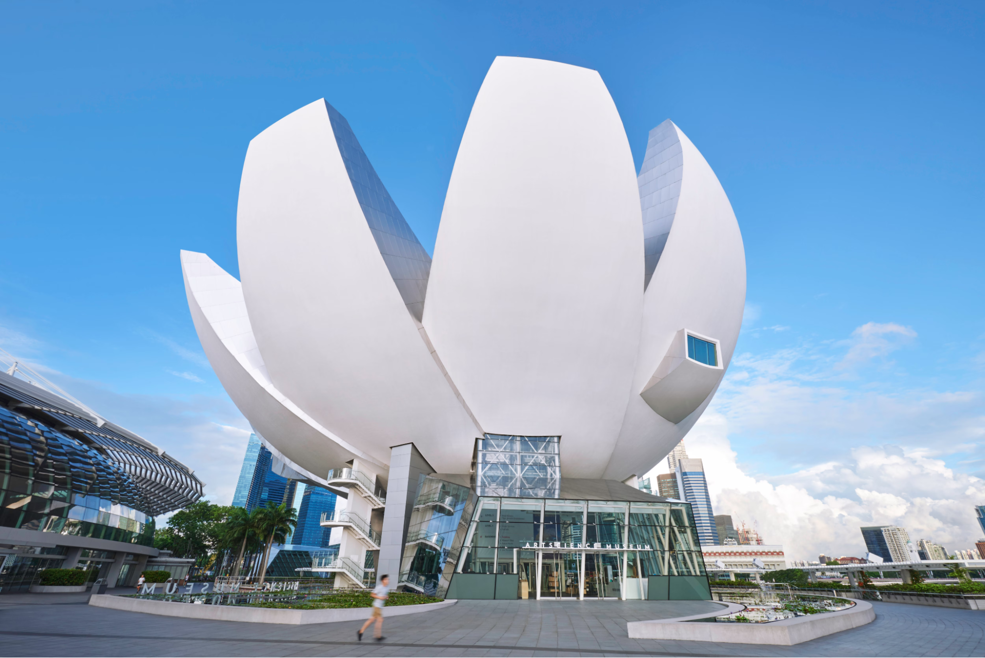artscience museum singapore