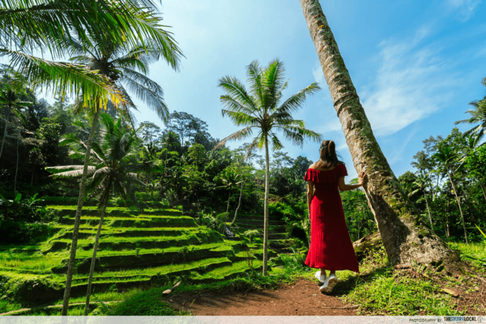 50 Best Things To Do In Bali [Updated 2023 Guide]