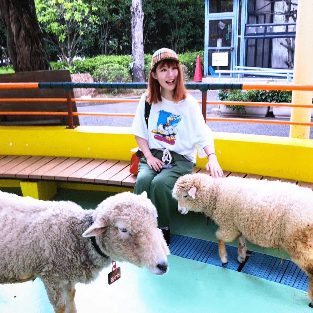 free things to do in tokyo japan - Edogawa City Shizen Zoo - sheep