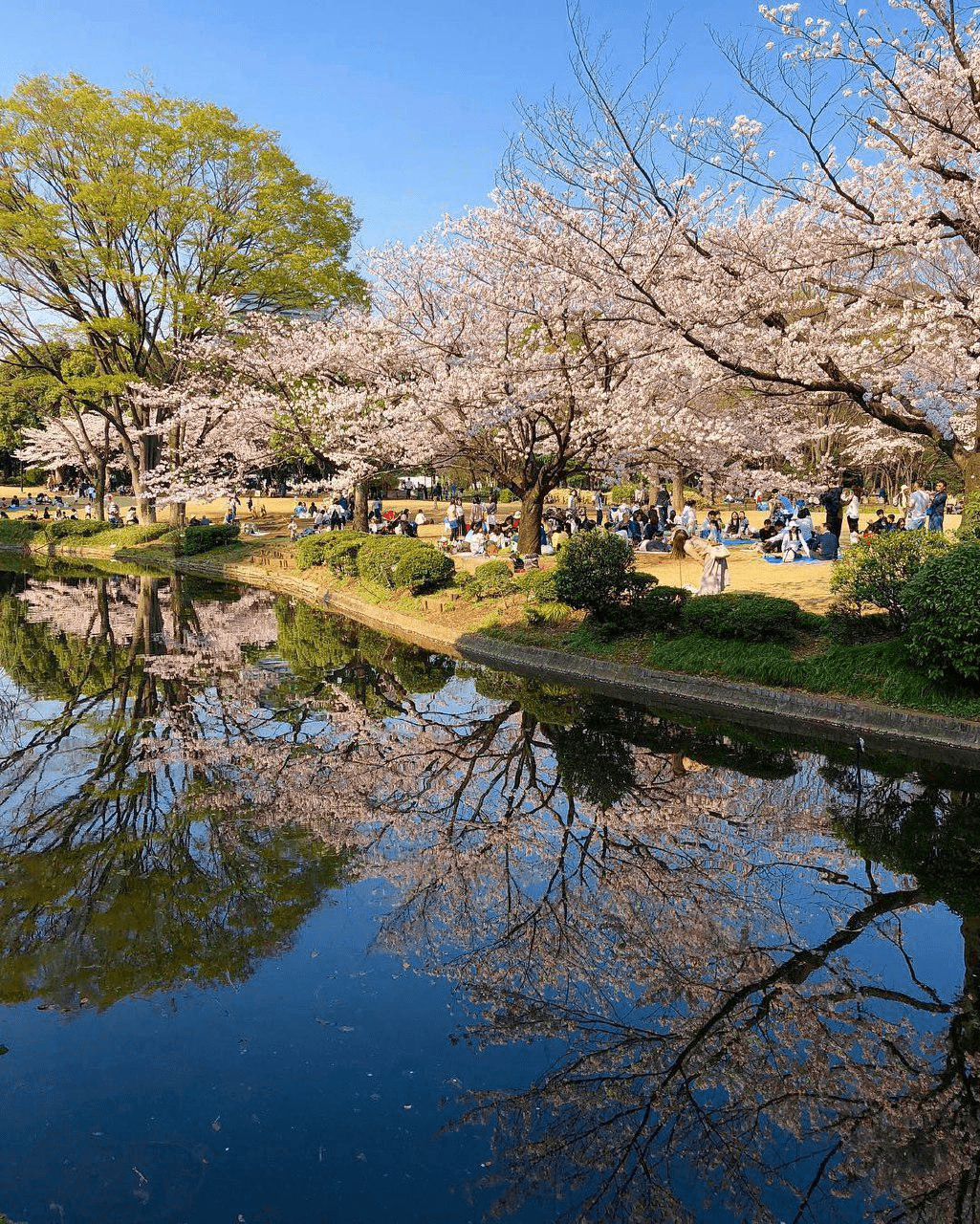 free things to do in tokyo japan - Imperial Palace’s East Garden
