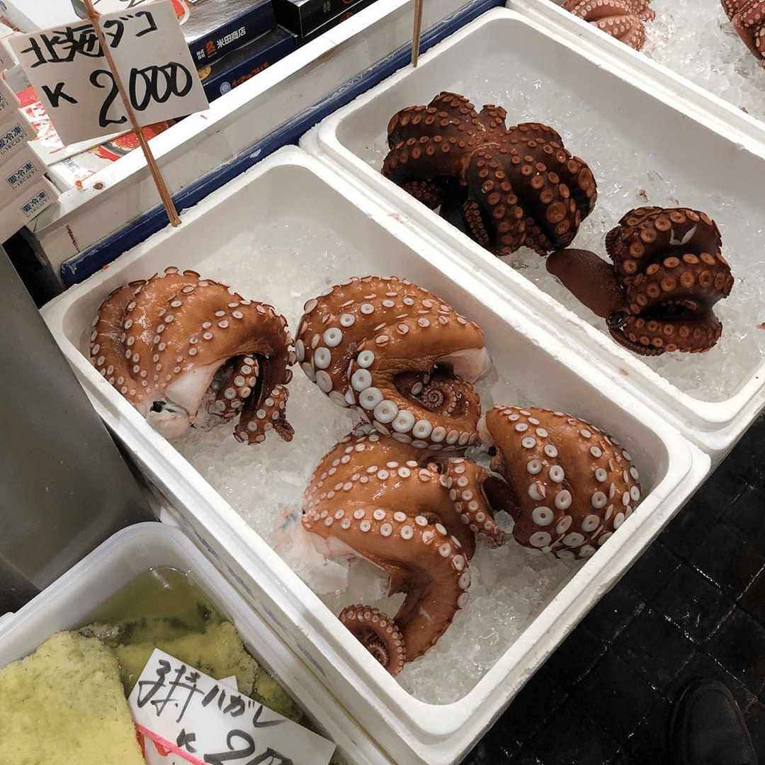free things to do in tokyo japan - octopus