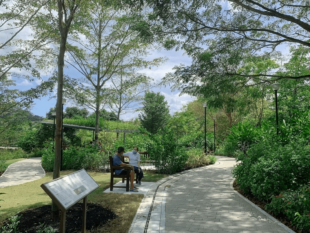 Punggol Waterway Park: IG-worthy Bridges & Gardens Worth The Ride