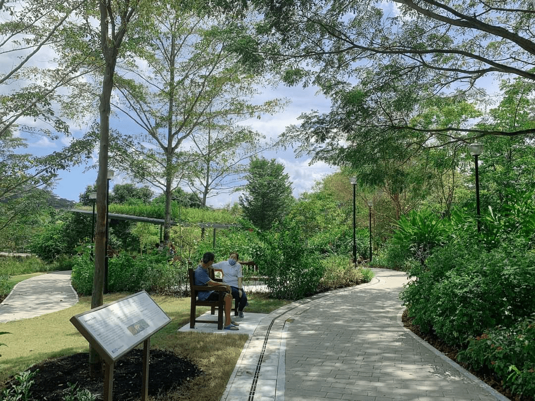 punggol waterway park - therapeutic park