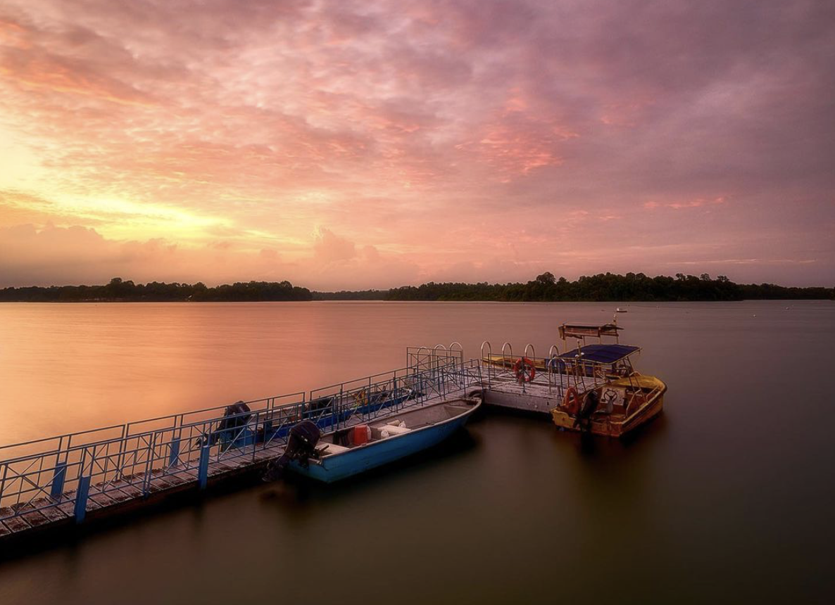 Central Catchment Nature Reserve - Upper Seletar Reservoir