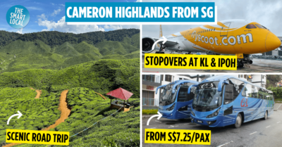 Guide To Getting From Singapore To Cameron Highlands In 2023 – By Car, Bus & Air