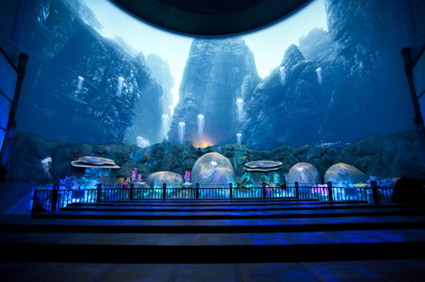 sea aquarium typhoon theatre