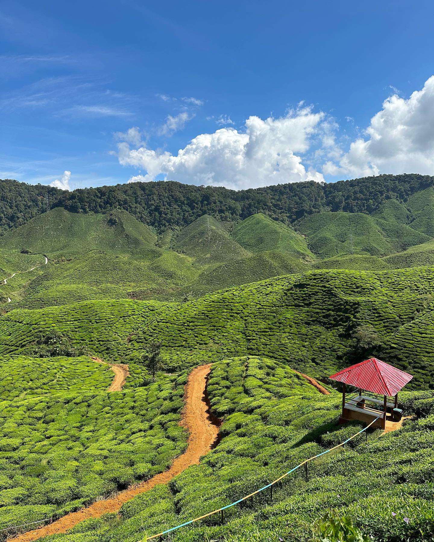Singapore to Cameron Highlands - scenic route