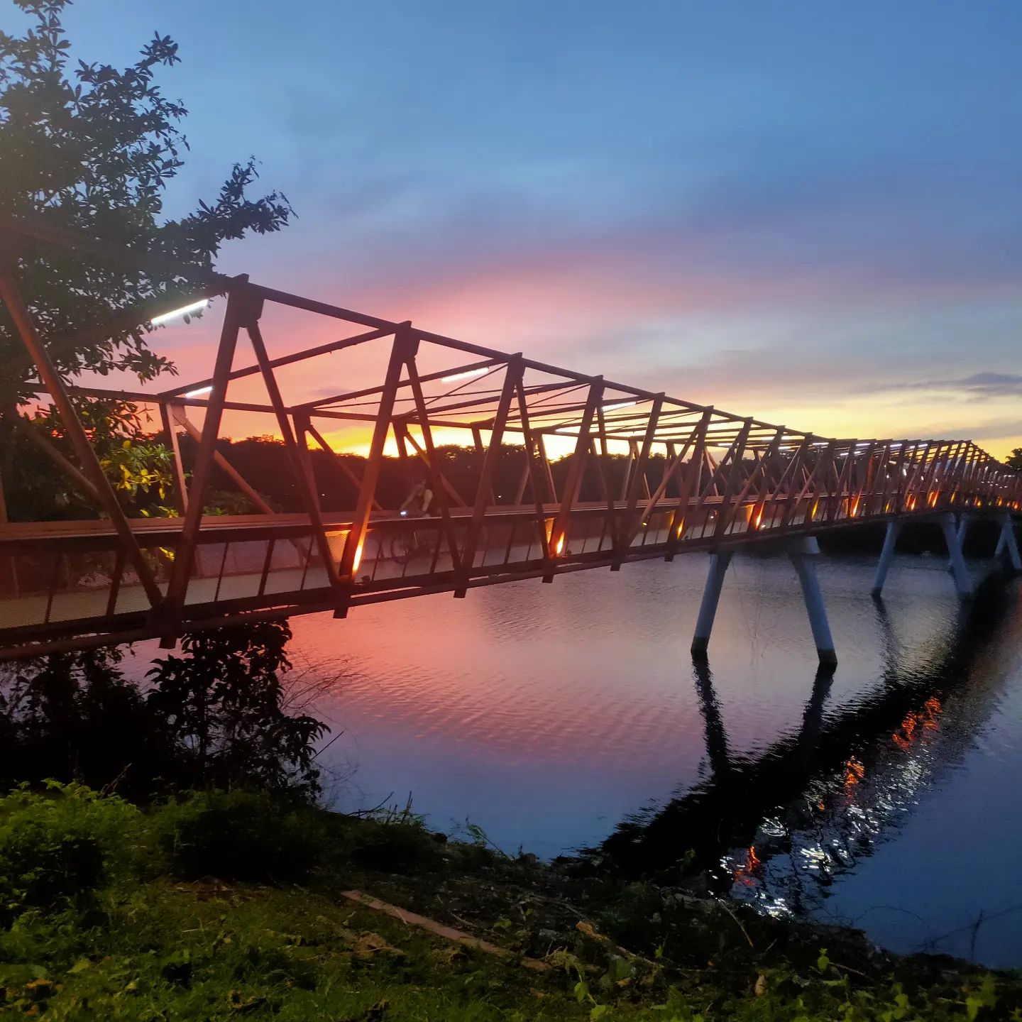 Sunrise & sunset spots in Singapore - Lorong Halus Wetland red bridge