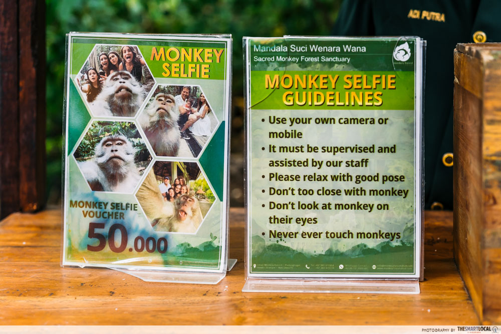 Ubud monkey forest - monkey selfie