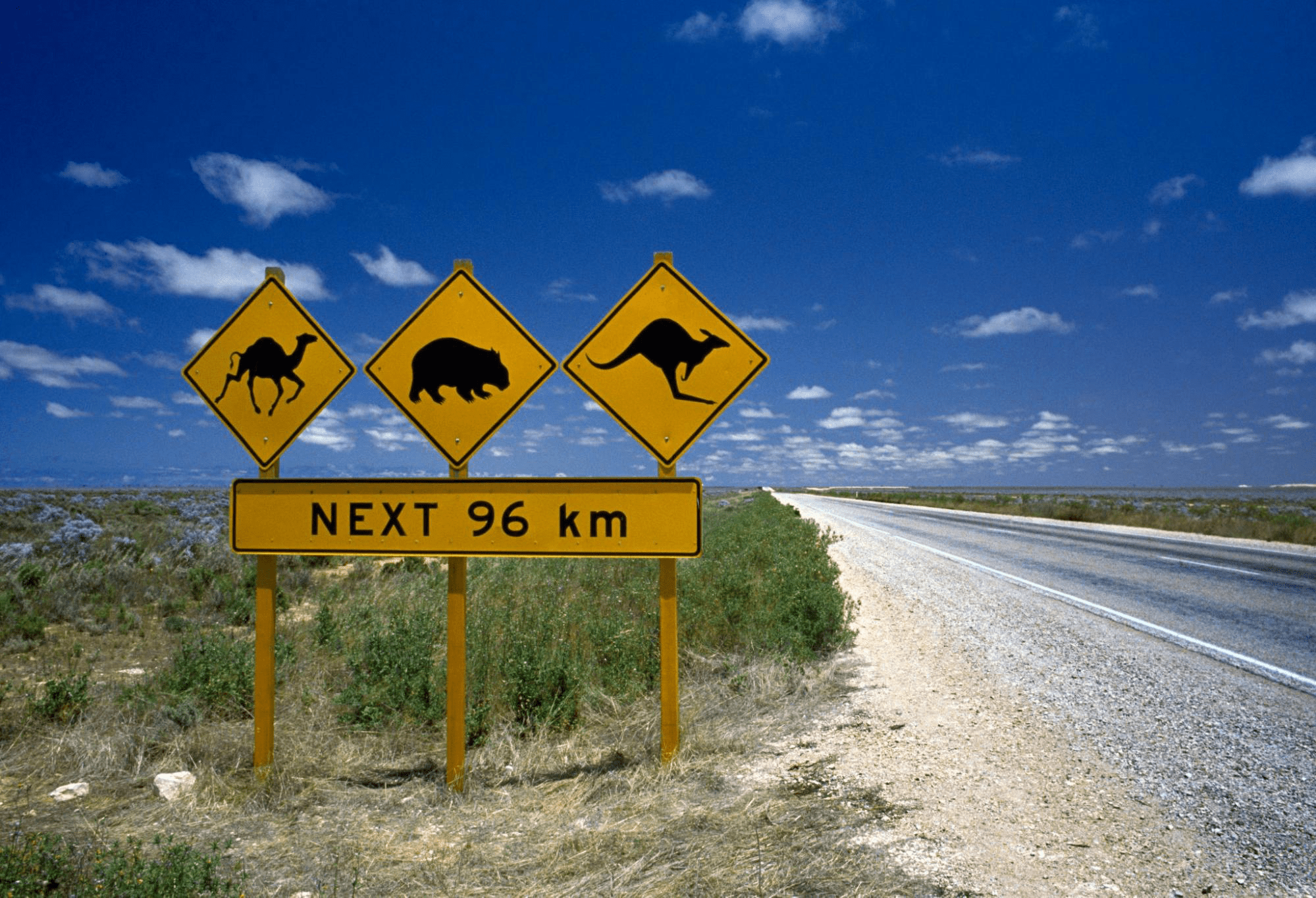australia road trip - road signs