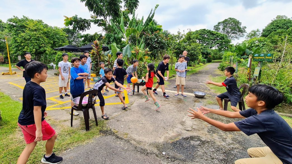 Bollywood Farms Is A Hidden Fruit & Vegetable Farm In Kranji