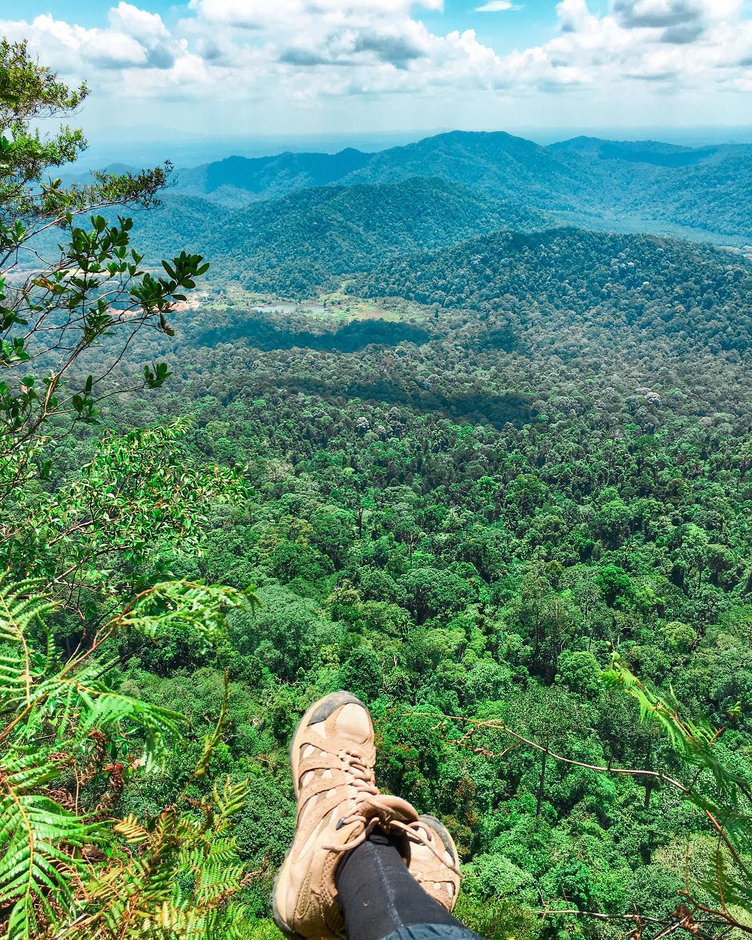 hiking in malaysia - Gunung Panti