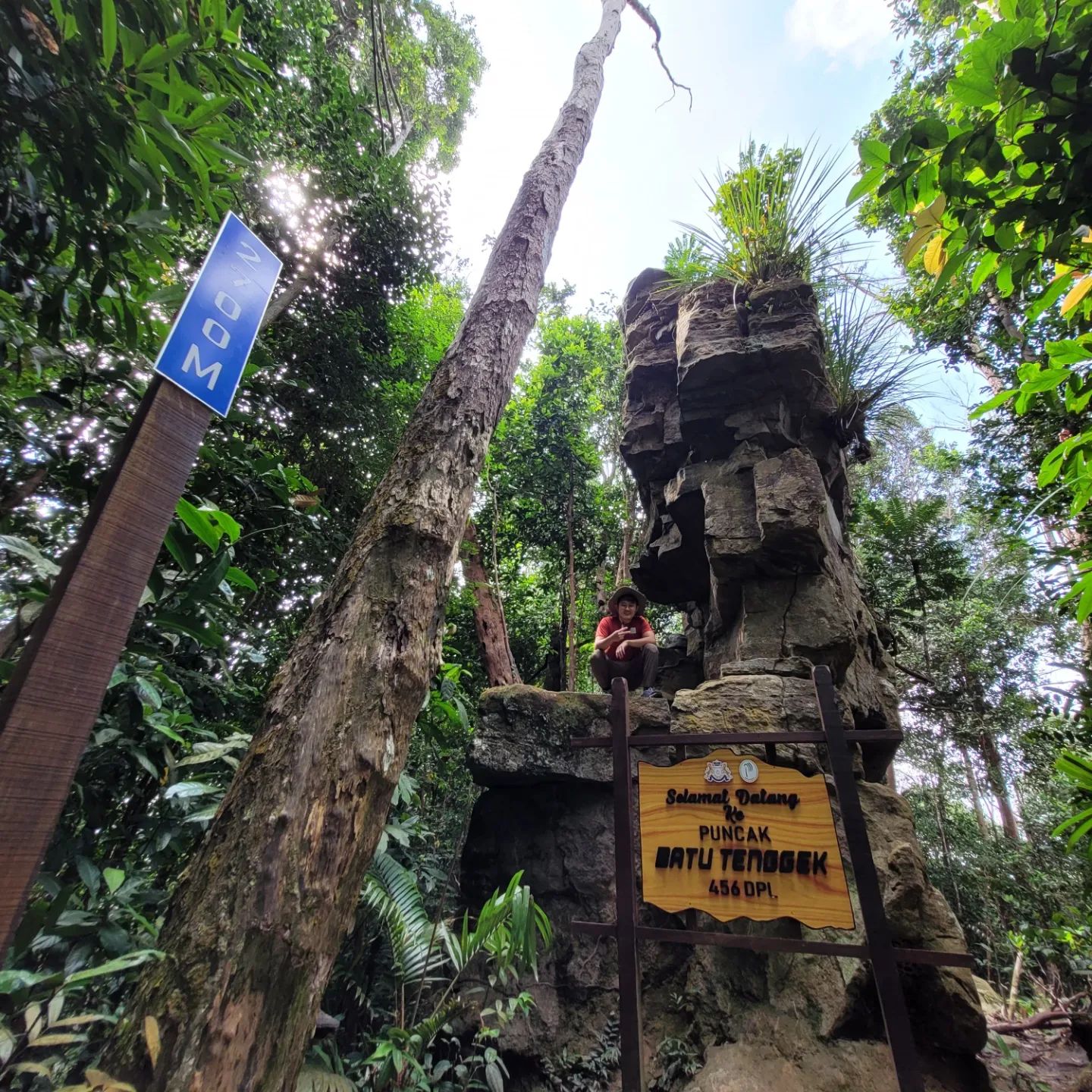 hiking in malaysia - Gunung Panti - rocks