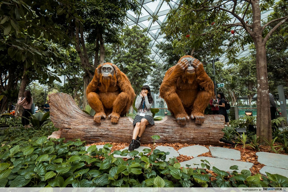jewel changi - canopy park topiary walk orangutans