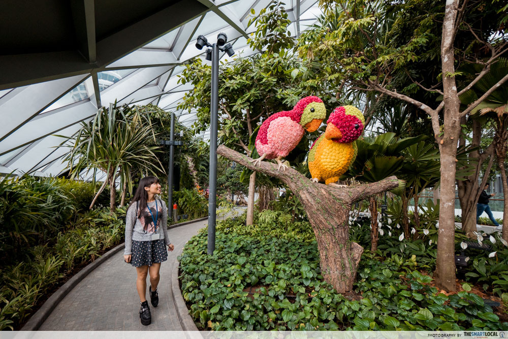 jewel changi - canopy park topiary walk