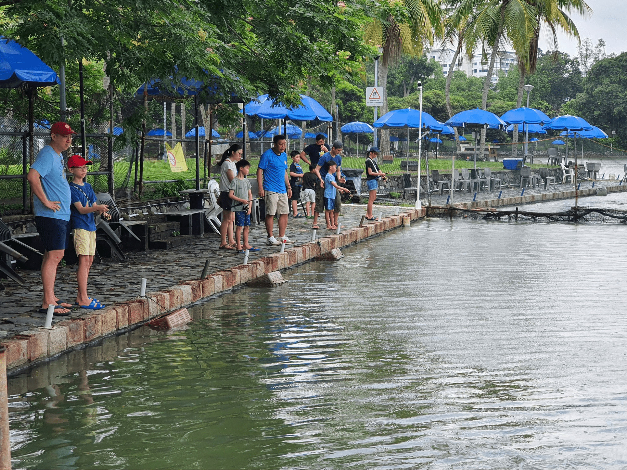 D'Best Fishing - Pond