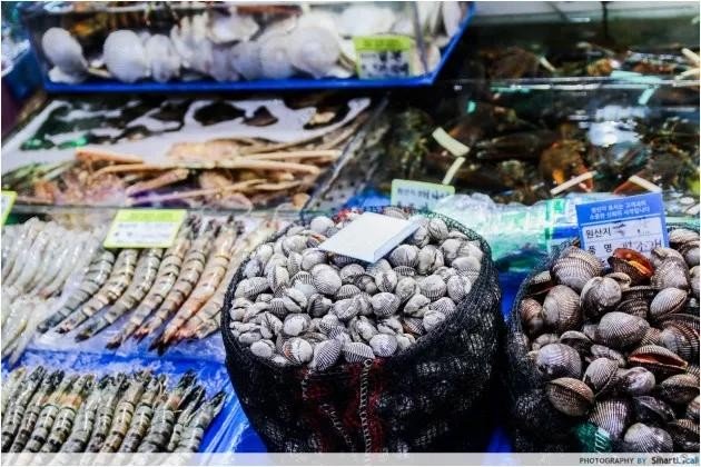 noryangjin fisheries wholesale market close up
