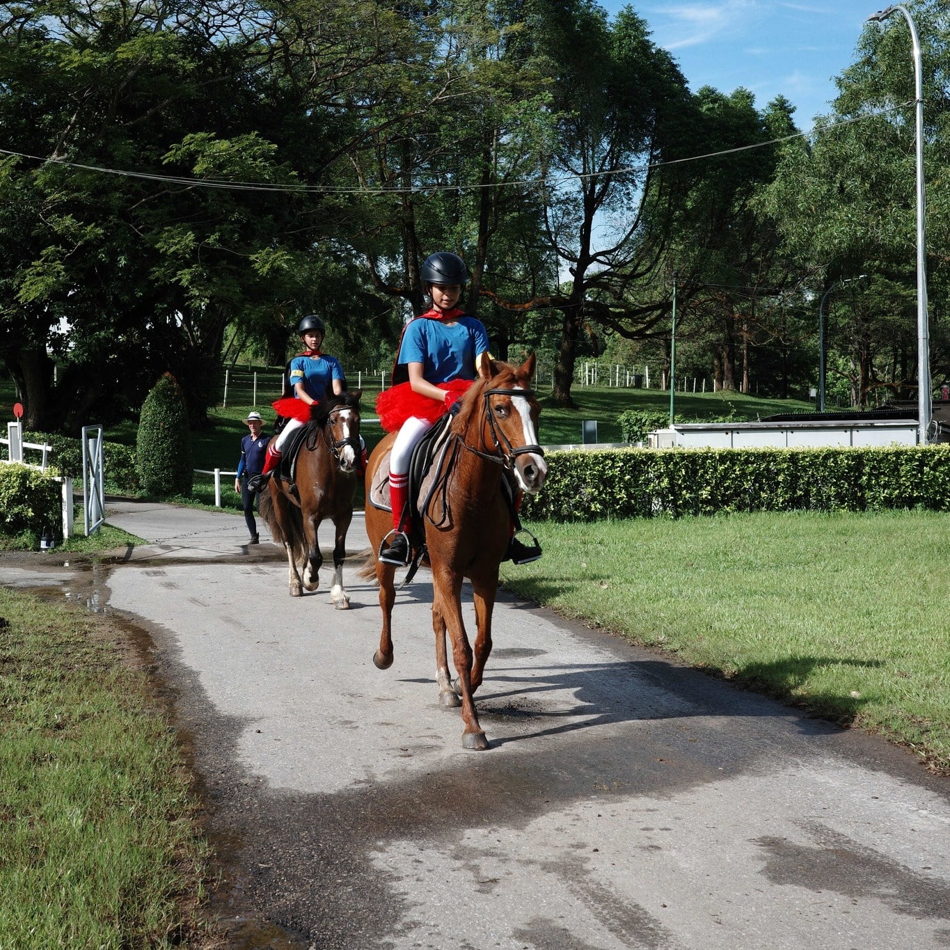 Bukit Timah Saddle Club - horses