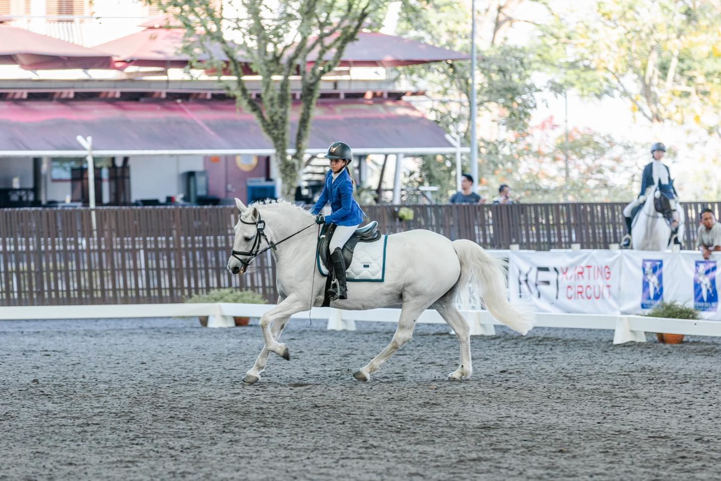 Bukit Timah Saddle Club - White horse