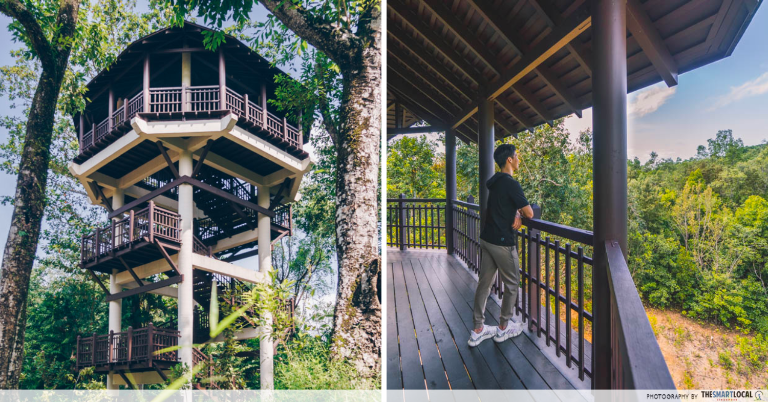 East vs West - Pasir Ris Bird Watching Tower
