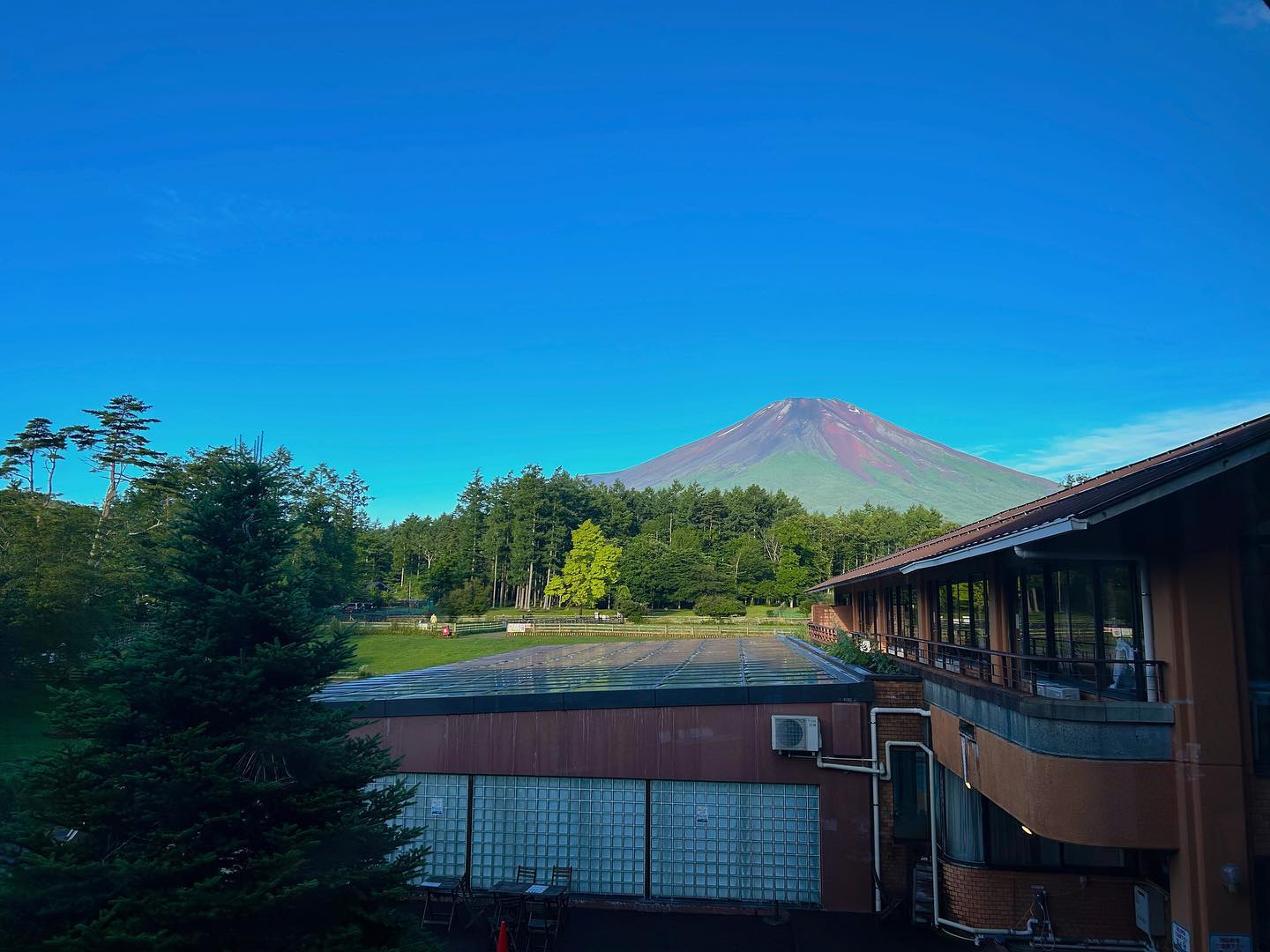Mount Fuji ryokan - dog resort woof 2