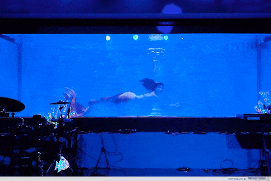 ORTO West Coast - Mermaid Performance