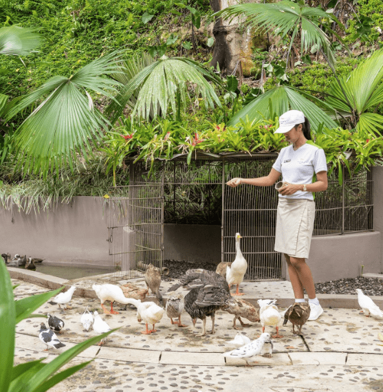 Hotels with Kids Clubs - animal garden
