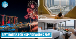 ndp firework hotels 2023 - cover
