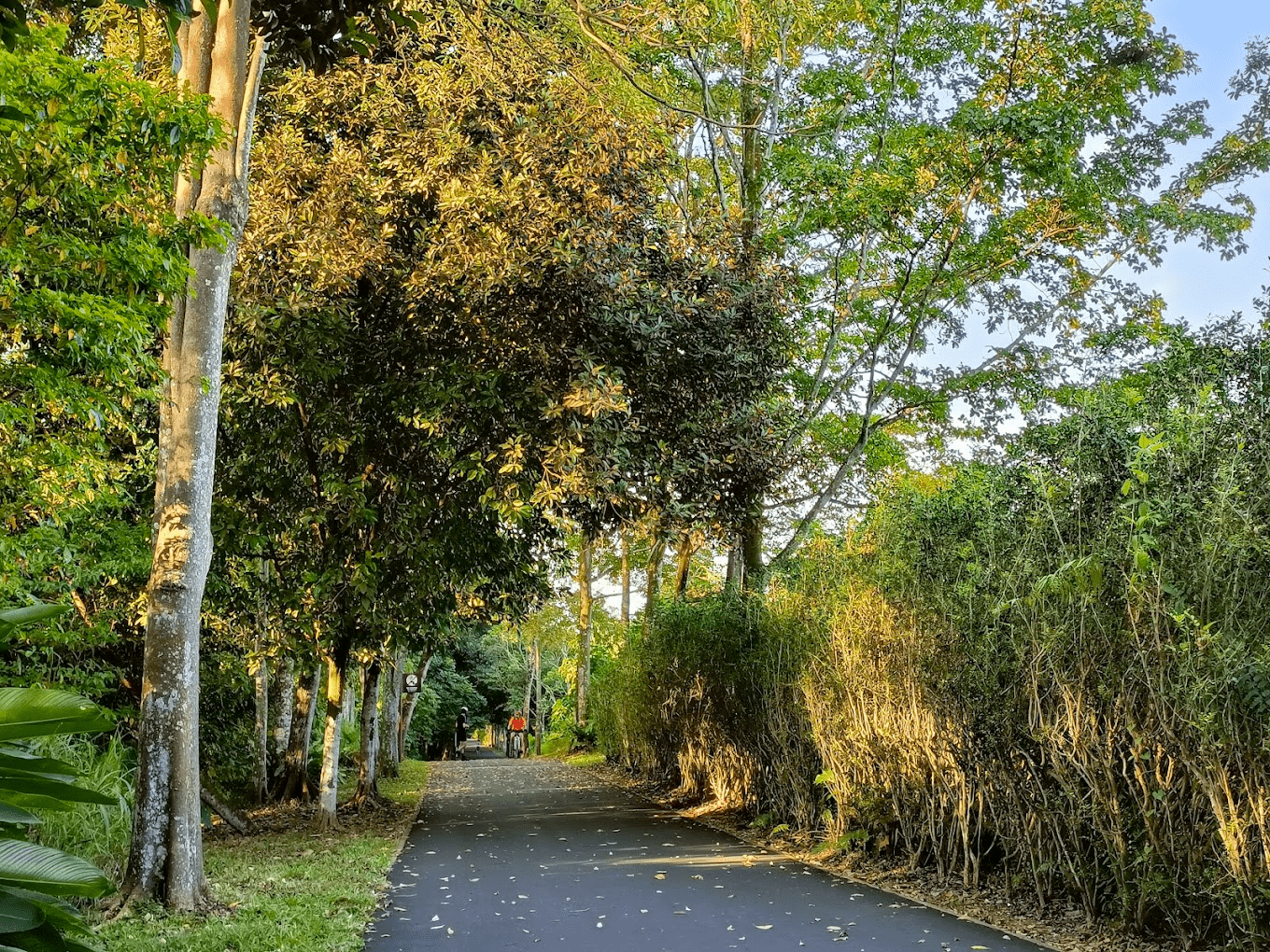 ulu sembawang park connector cycling route