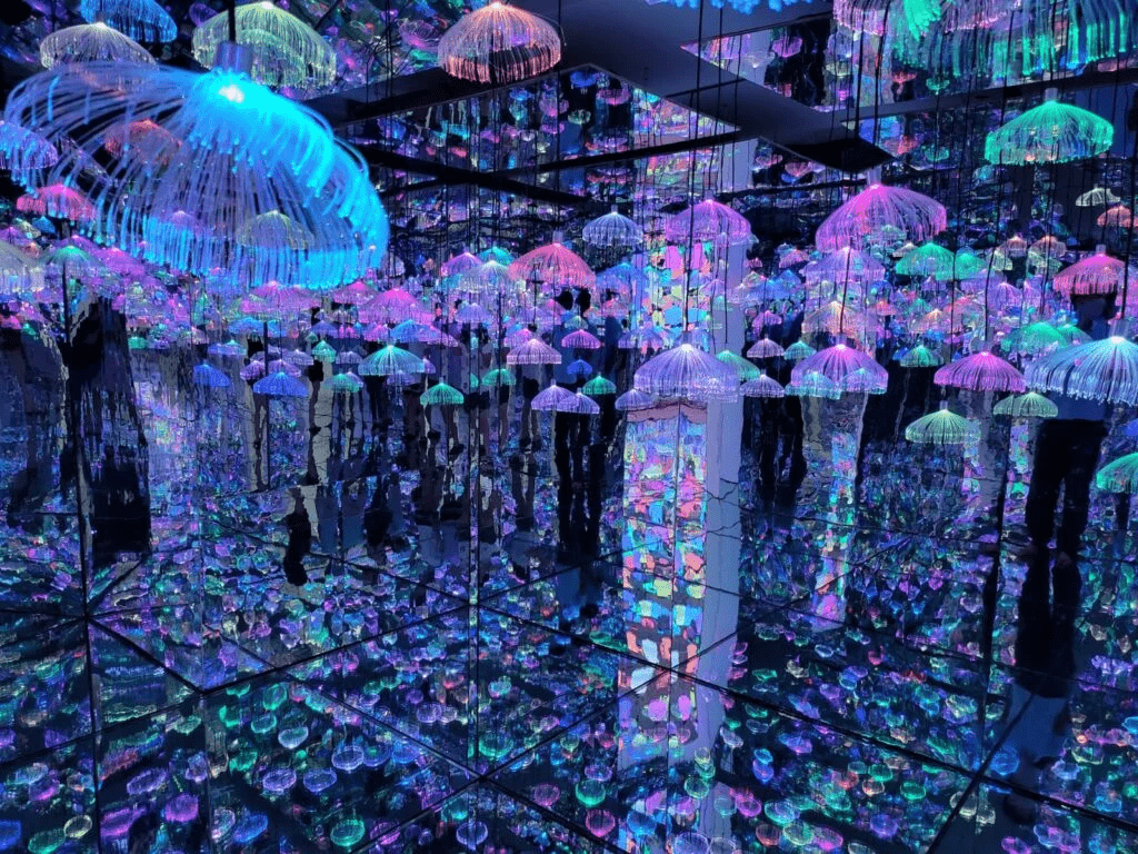 Bear & Bad Theme Museum - Jellyfish-like Lights