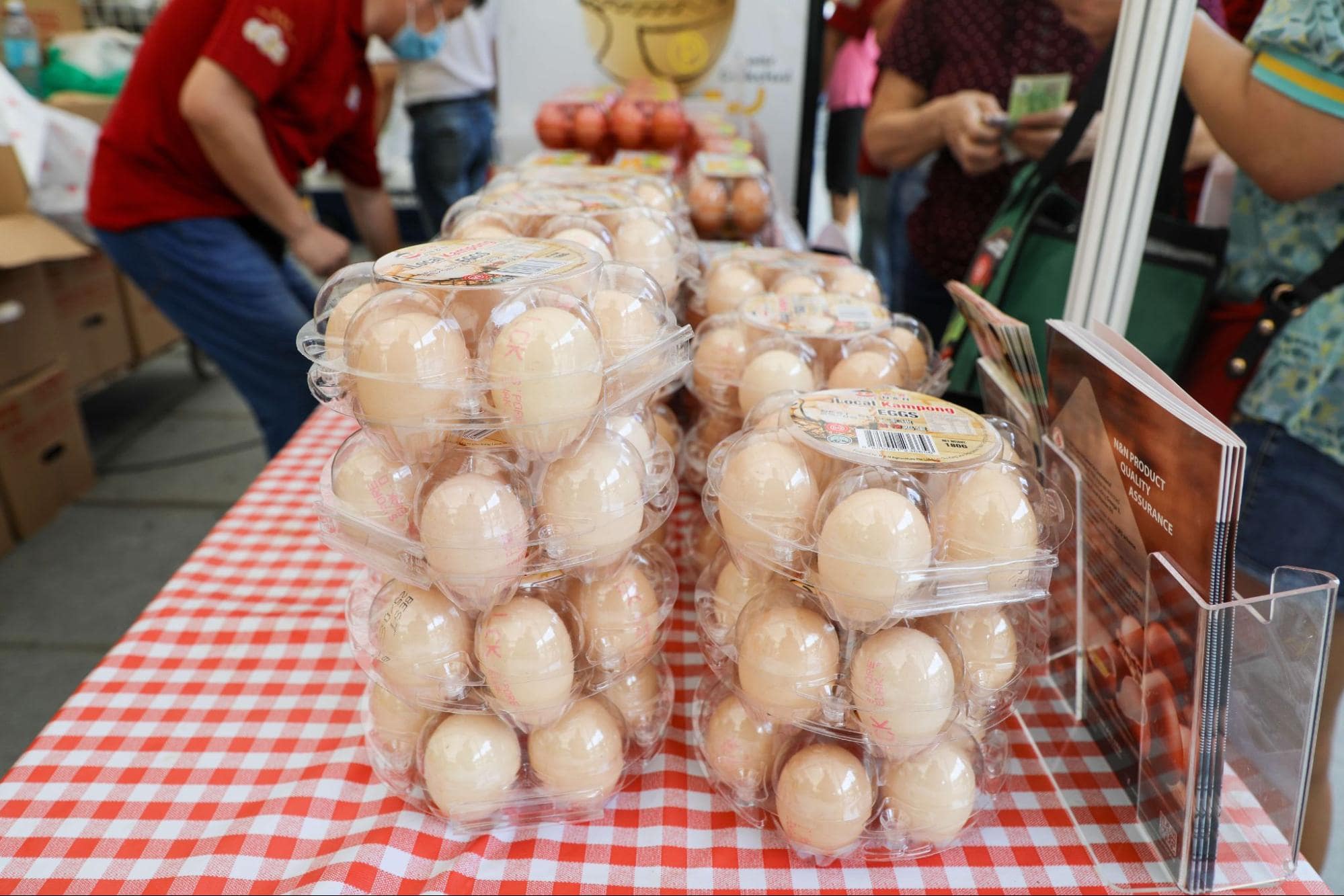 Feeding Our Future Exhibition - eggs grown in Singapore