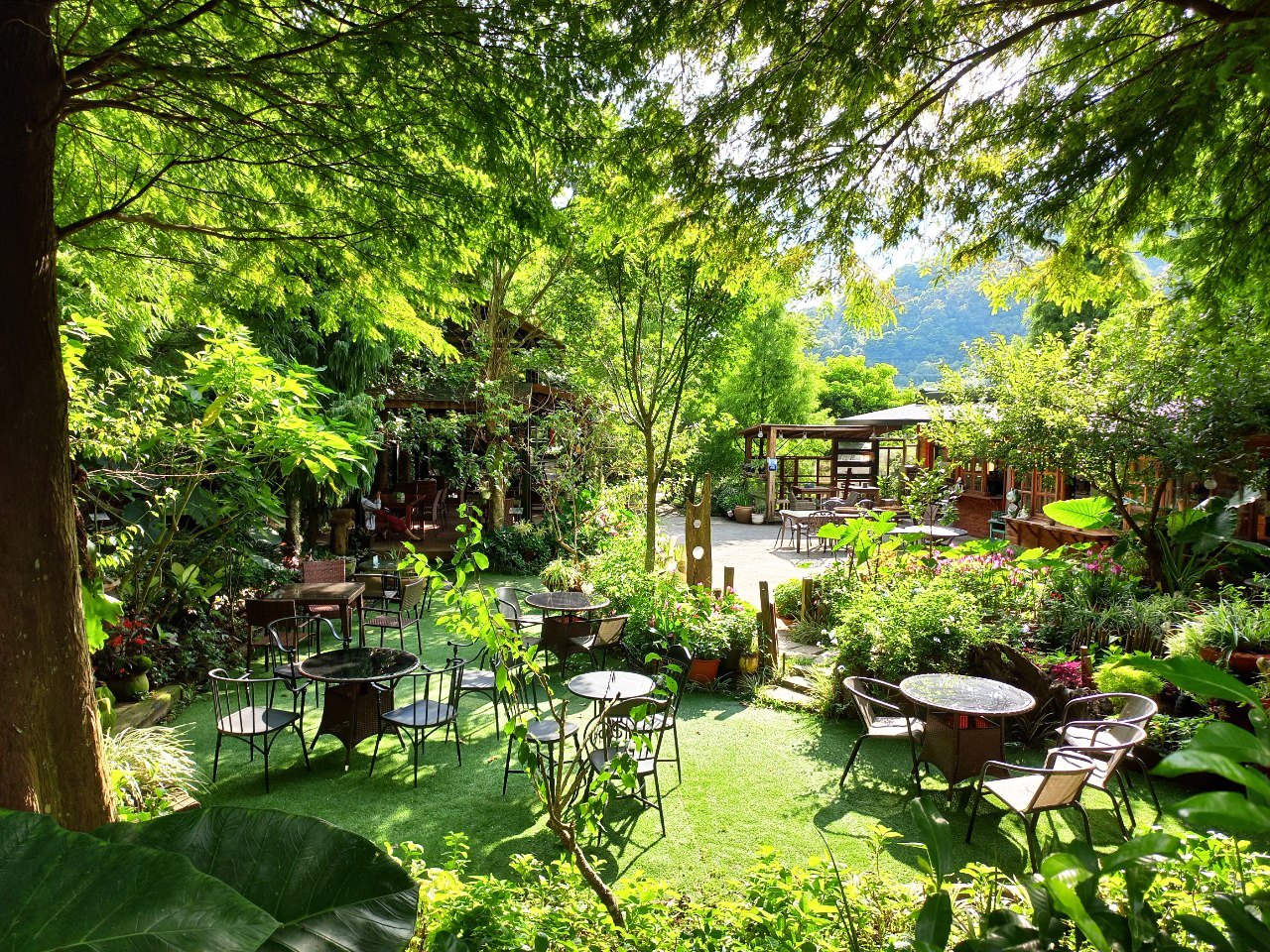 Mountain Homestays in Taiwan - Zhuo Ye Cottage book garden