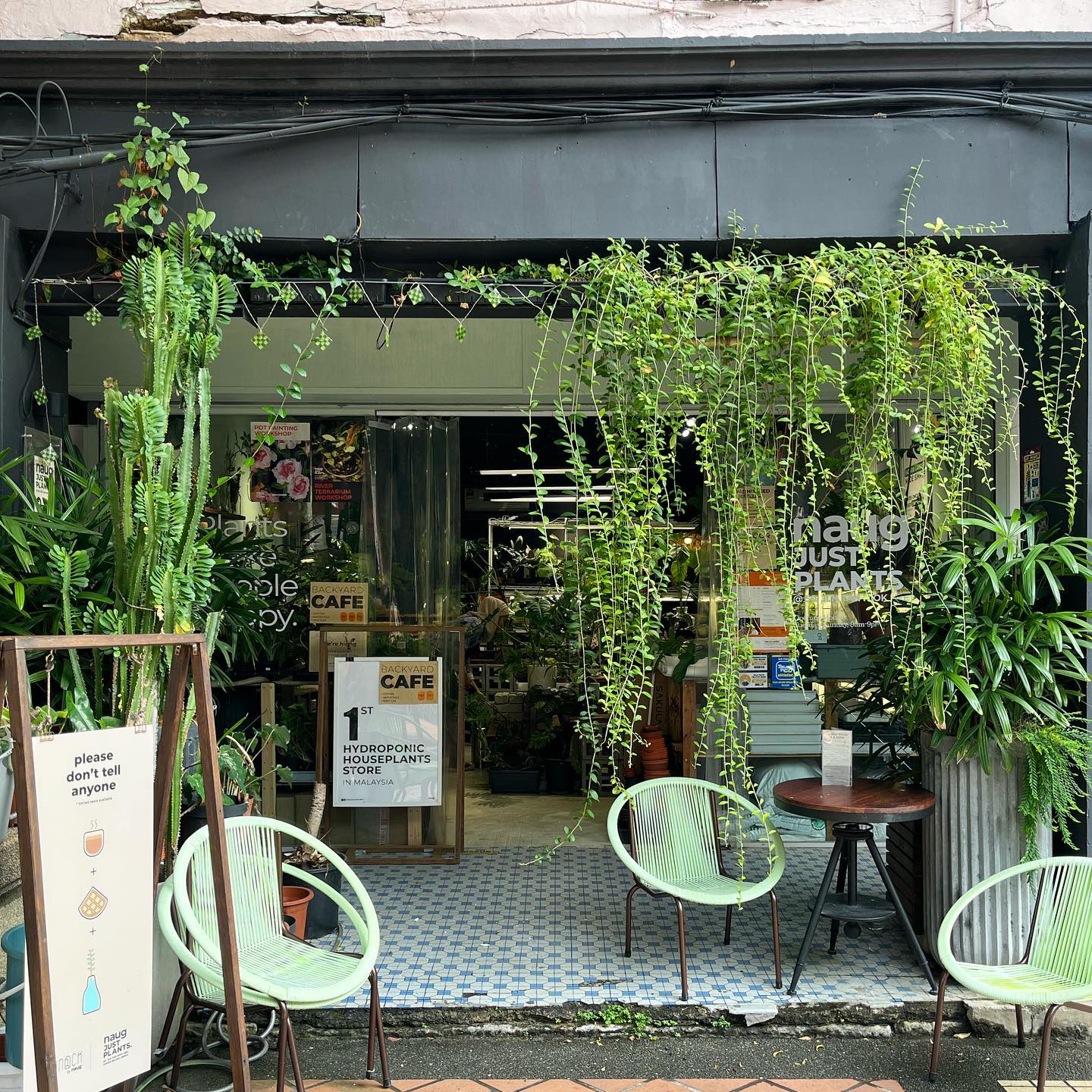 Nature-themed cafes near JB checkpoint - naug just plants exterior