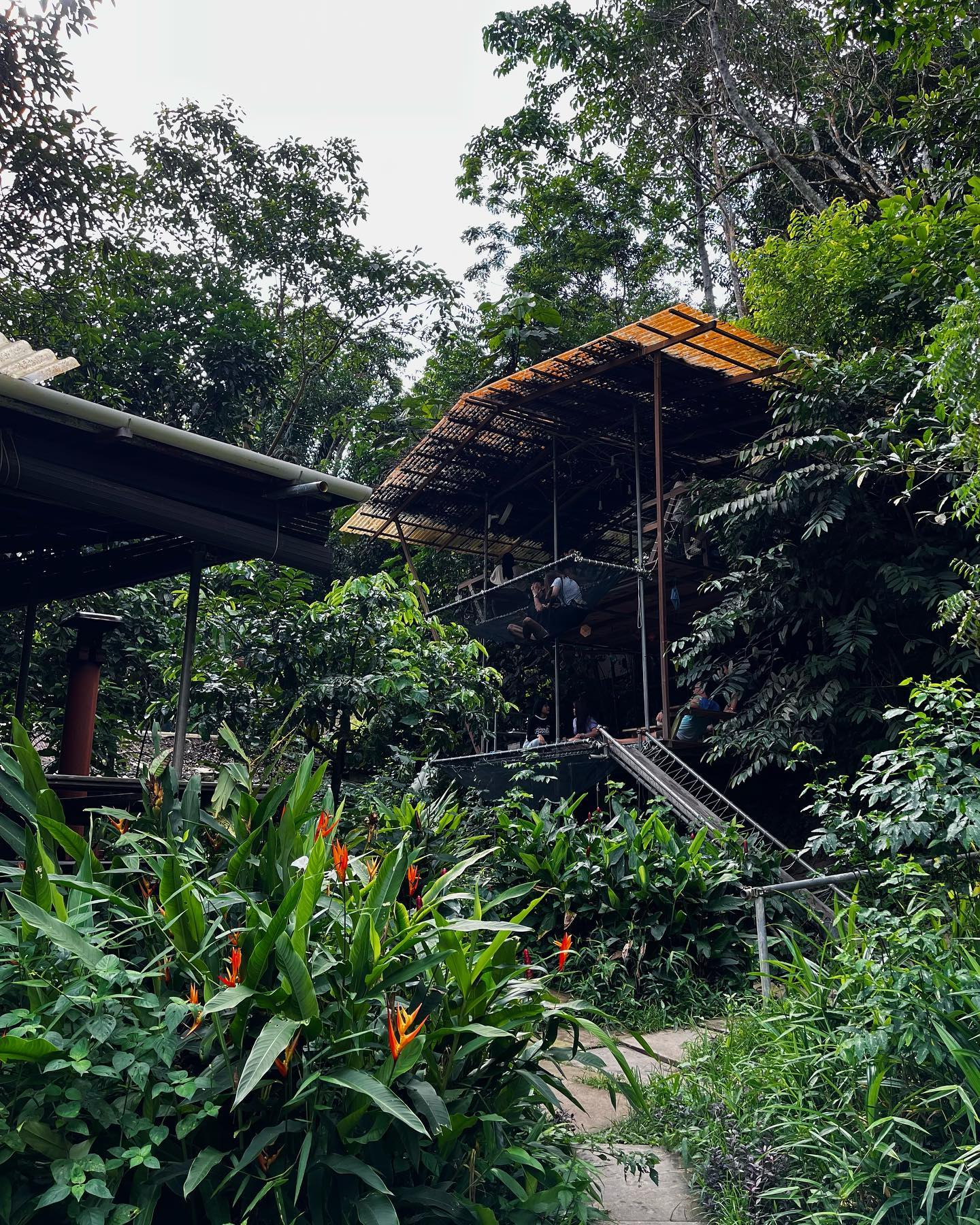 Nature-themed cafes near JB checkpoint - rainforest treehouse