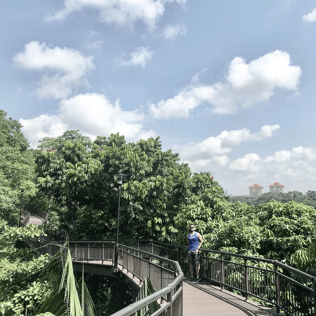 Parks & Nature Reserves Singapore - HortPark