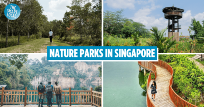 Parks & Nature Reserves Singapore - cover