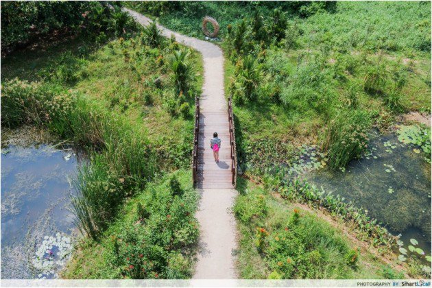 Parks & Nature Reserves Singapore - kranji marshes walk