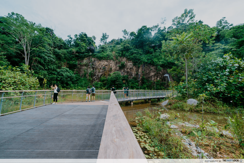 Parks & Nature Reserves Singapore - rifle range - boardwalk