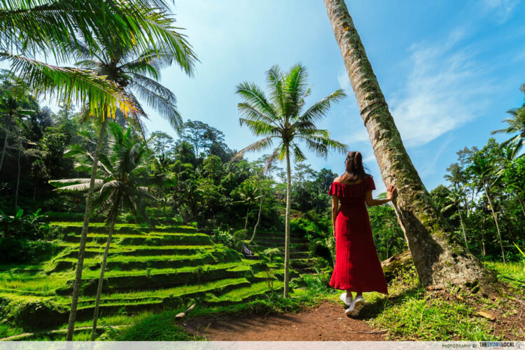 Tegalalang Rice Terrace - Paddy Fields 20 Min From Ubud