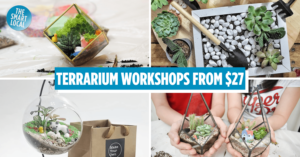 Terrarium Workshops In Singapore For You To DIY Your Own Low-Maintenance Mini Gardens