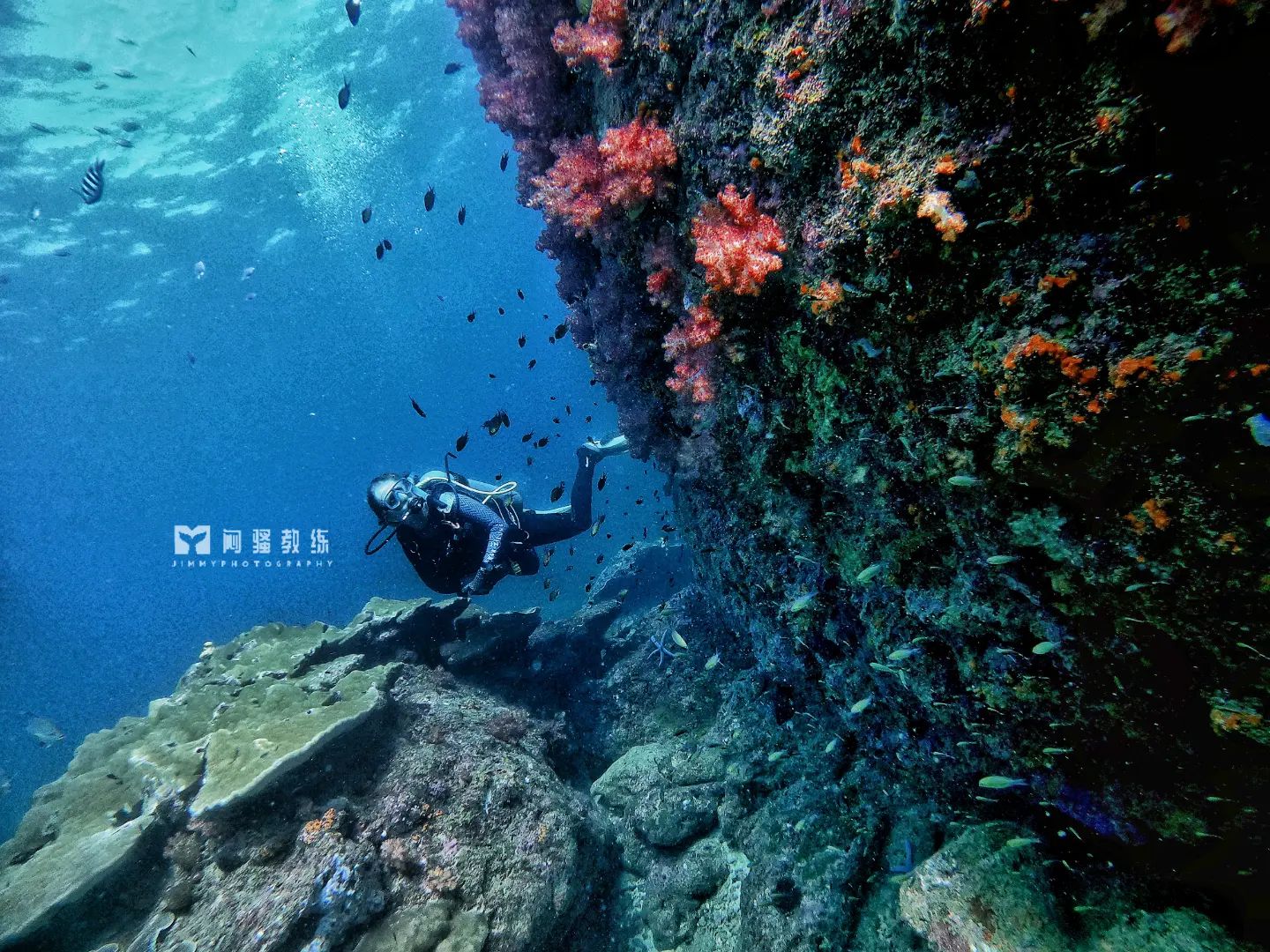Diver in Miri-Sibuti Coral Reefs National Park