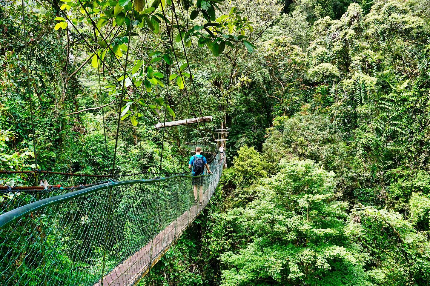 Suspension bridge in Mulu National Park, Miri