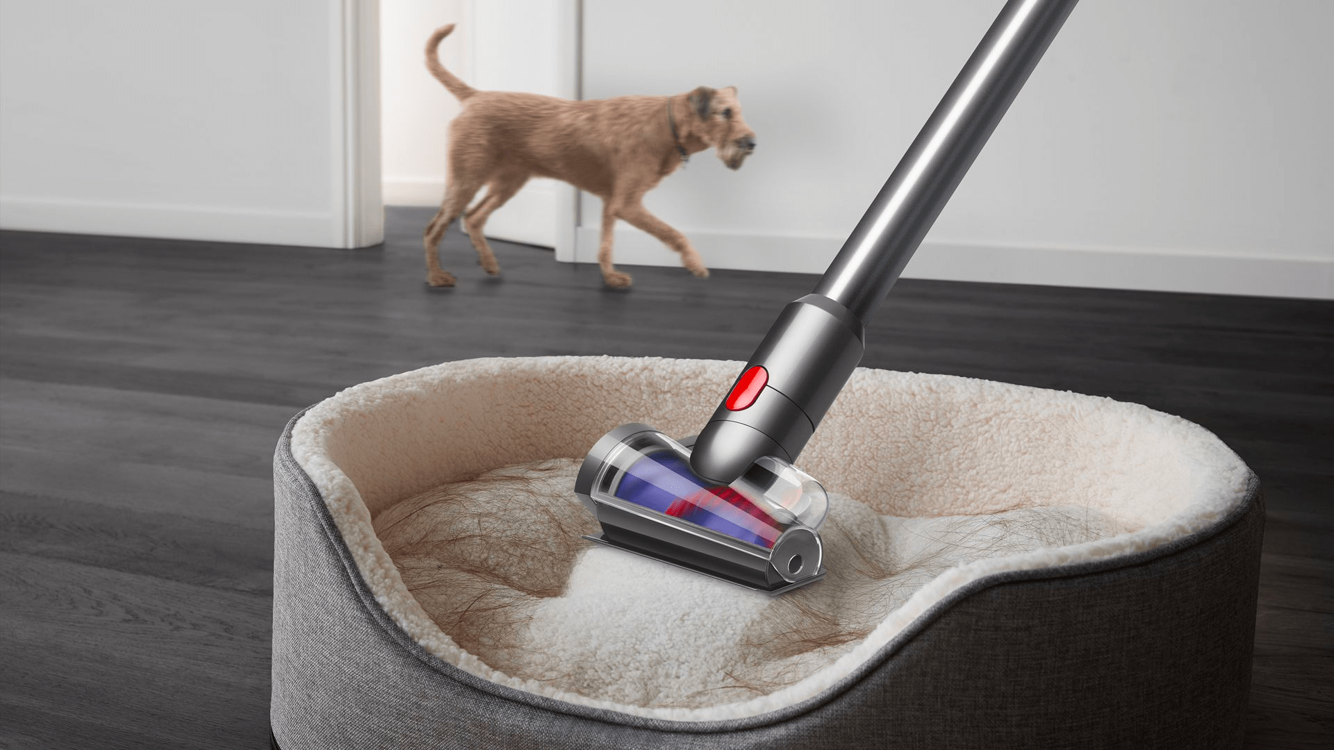 cordless vacuum cleaners singapore - Dyson V15 - pet bed