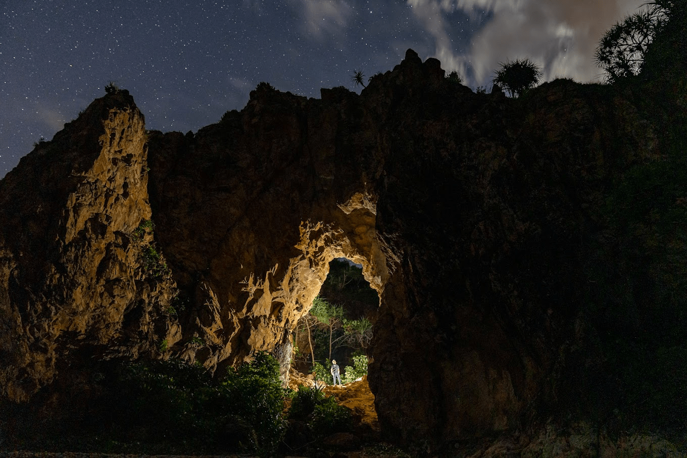 heaven's gate with starry night 