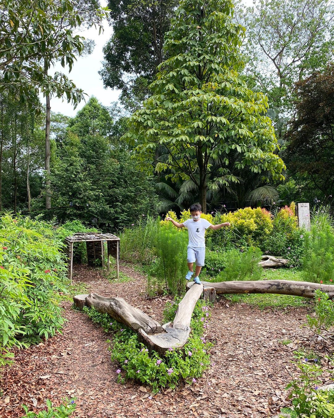 singapore botanic gardens - Jacob Ballas Children’s Garden