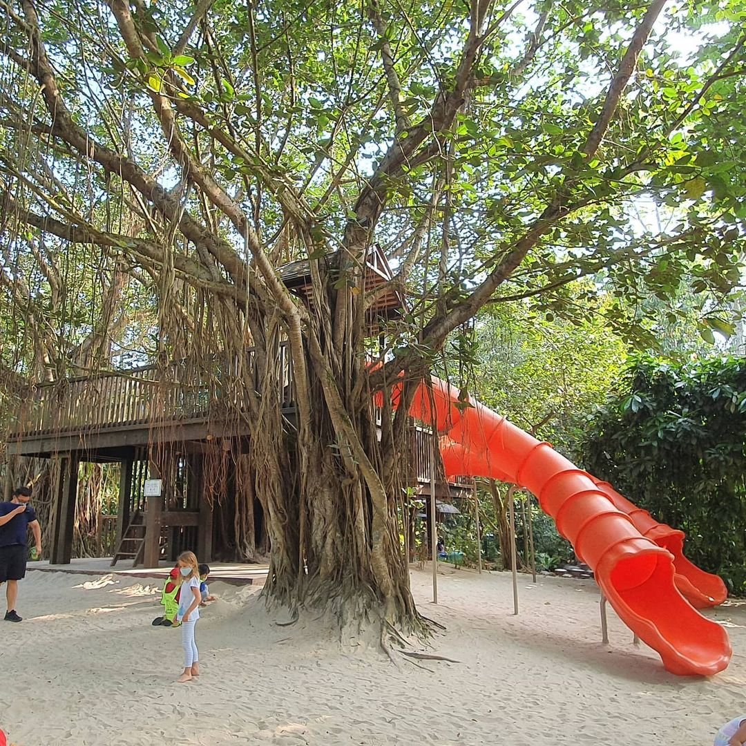 singapore botanic gardens - Jacob Ballas Children’s Garden - treehouse