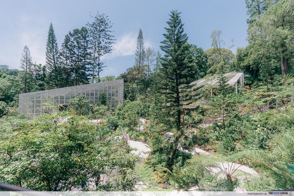 singapore botanic gardens - Secret Ravine